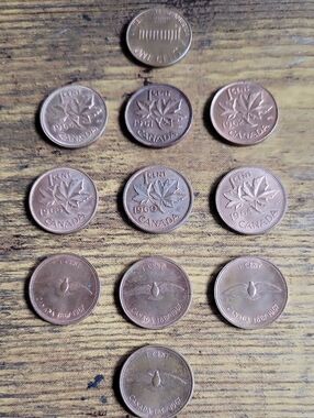 Vintage 1960s Canadian One Cent Coins - Copper Tones